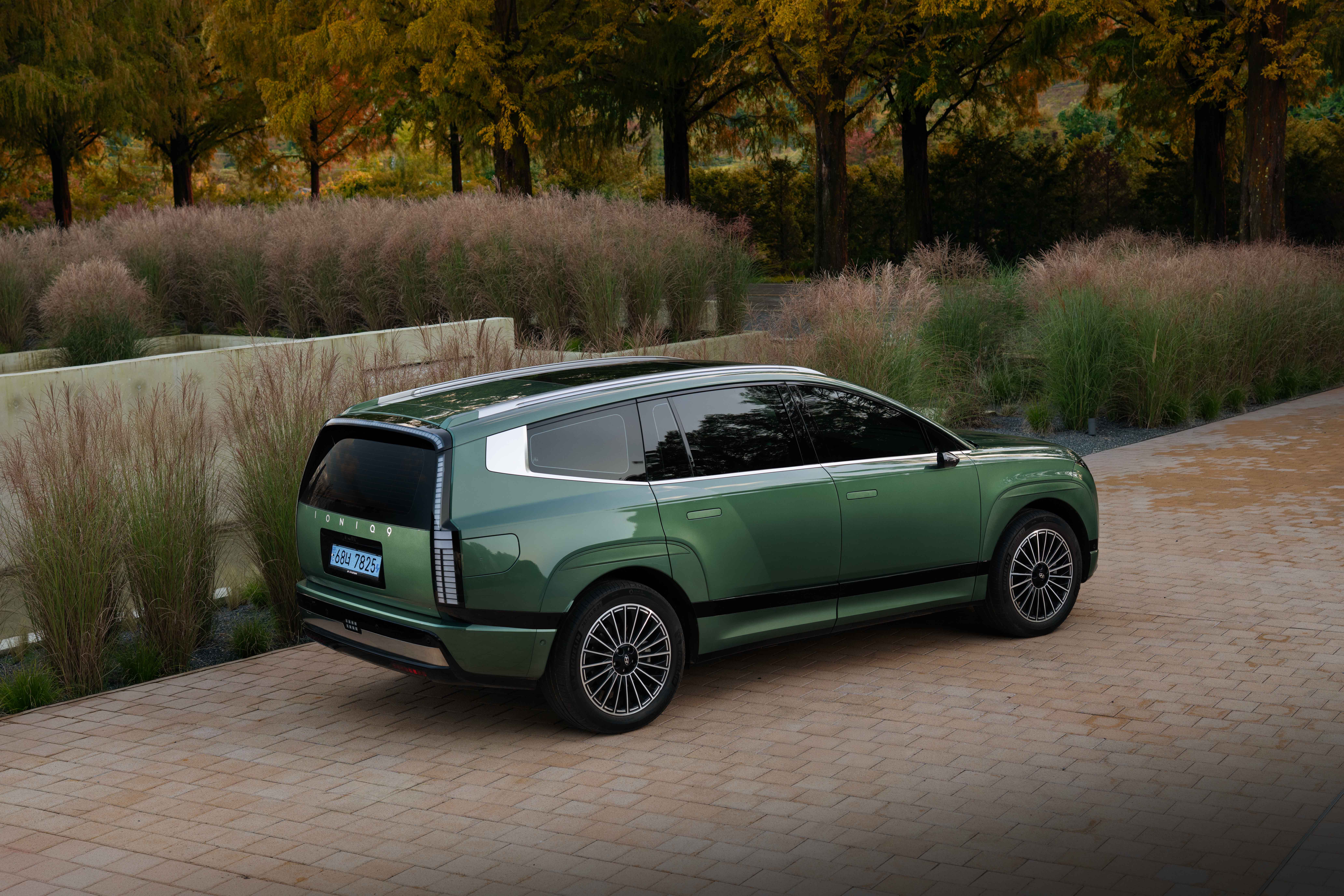 IONIQ 9 가을 (6)